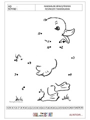 sayıları birleştir resmi tamamla